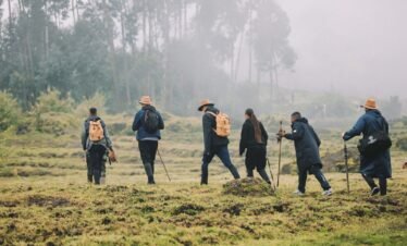 7 Day Rwanda Luxury Safari