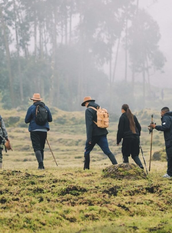 7 Day Rwanda Luxury Safari