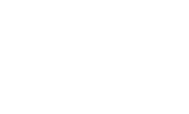 Wild Primates Africa