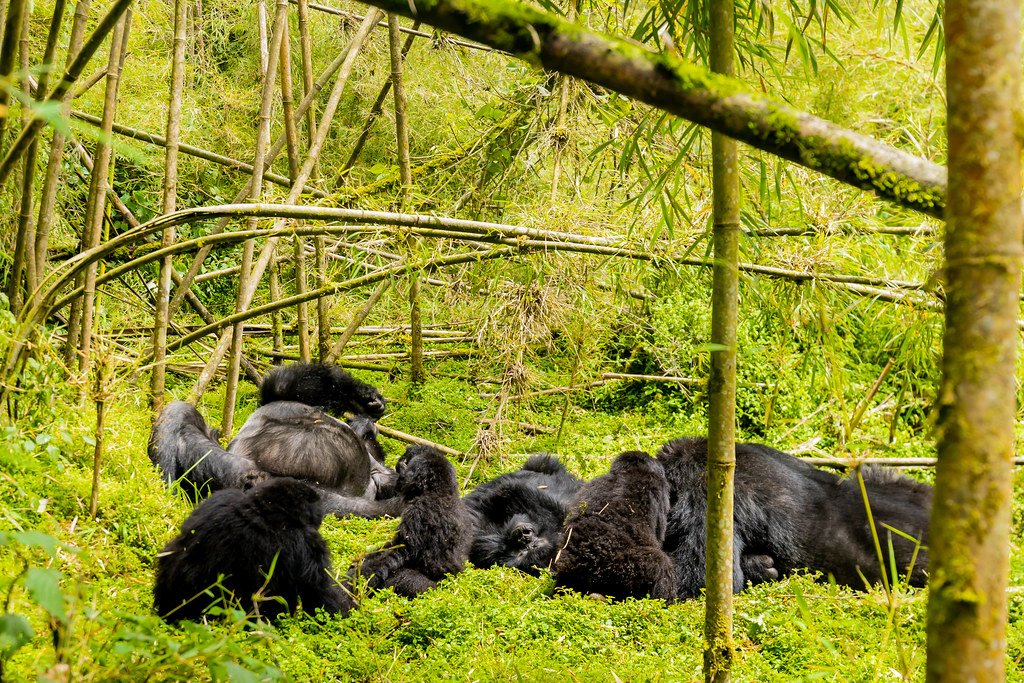 Volcanoes National Park