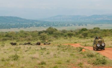 Akagera National Park Safari
