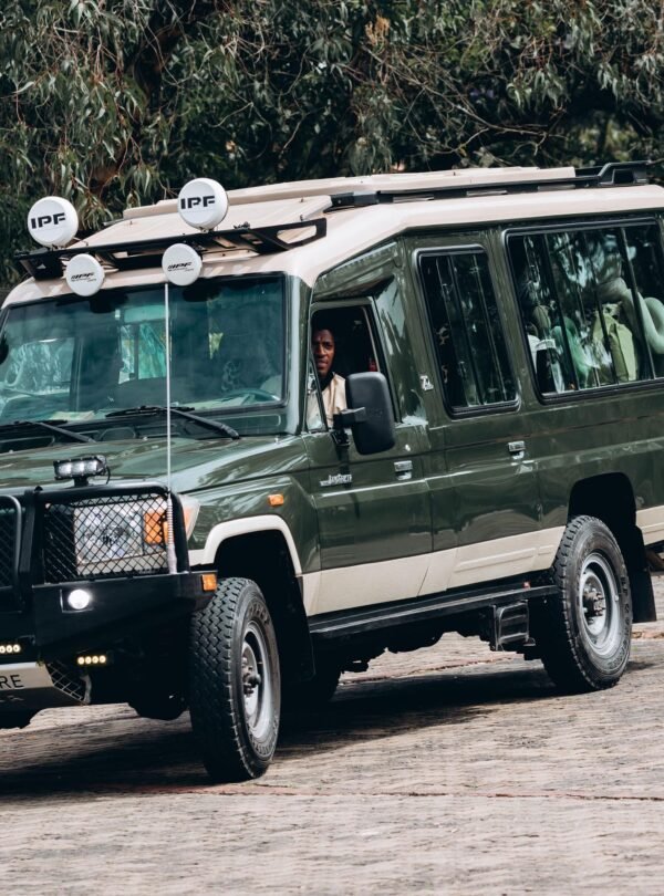 7 Day Rwanda Luxury Safari