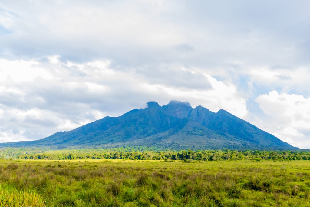 4 Day Gorilla Trekking Rwanda