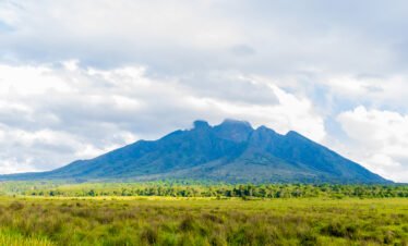 4 Day Gorilla Trekking Rwanda