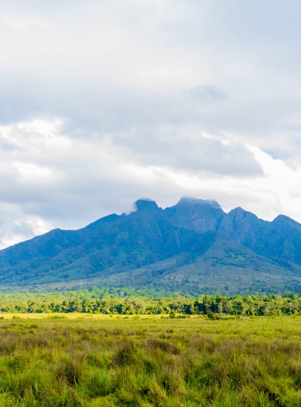 4 Day Gorilla Trekking Rwanda