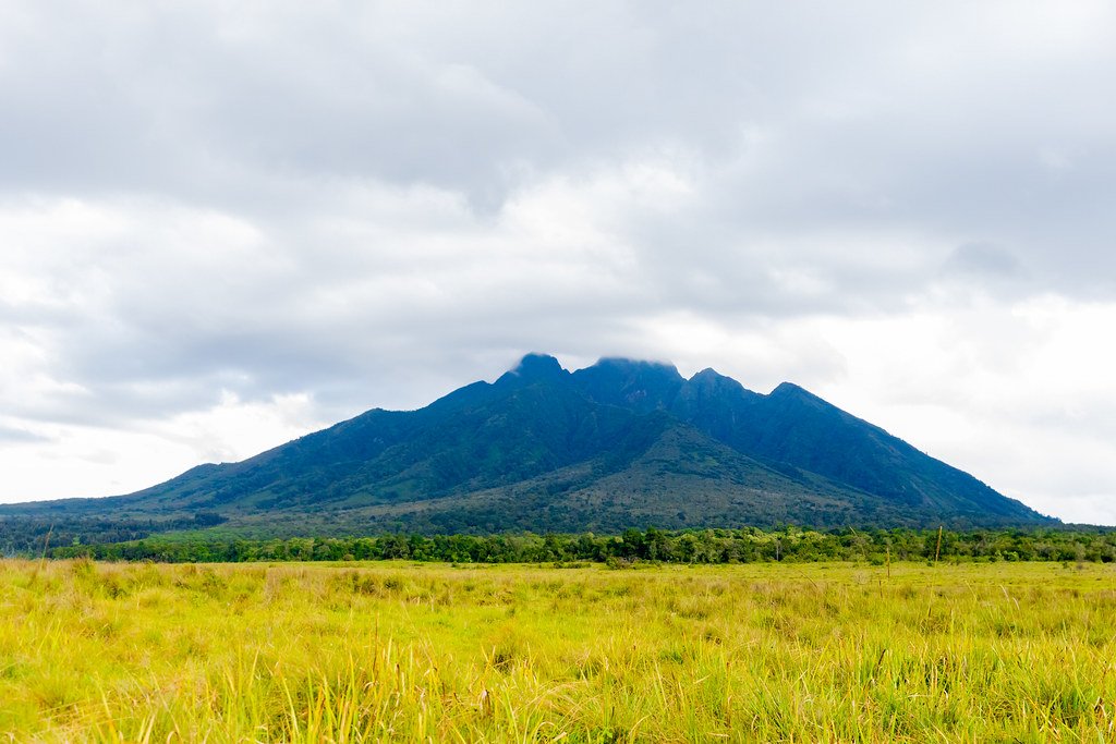 Volcanoes National Park Rwanda