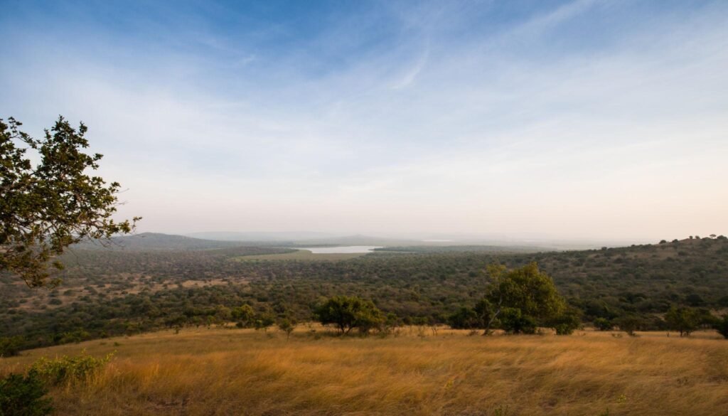 Lake Mburo National Park scenery