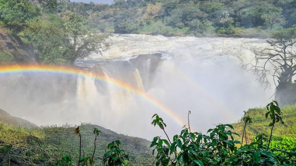 Top of the Murchison Falls National Park